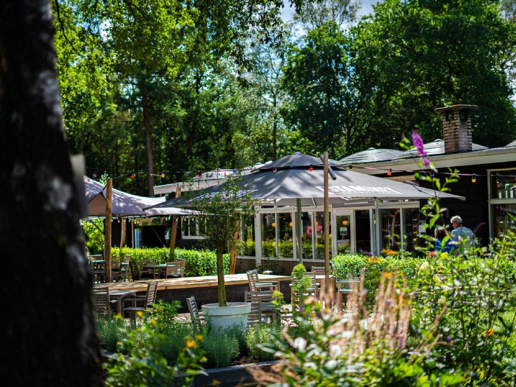 Comfortable Chalet With Combination Microwave Near The Veluwe Hoenderloo Luaran gambar